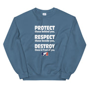 Protect Respect Destroy