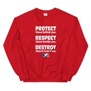 Protect Respect Destroy